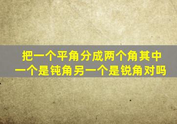 把一个平角分成两个角其中一个是钝角另一个是锐角对吗