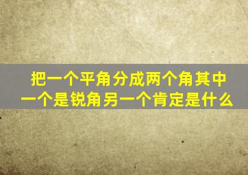 把一个平角分成两个角其中一个是锐角另一个肯定是什么