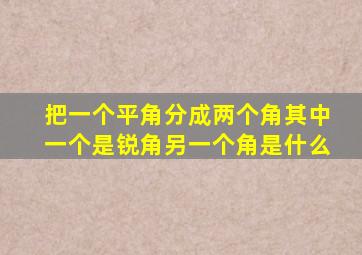 把一个平角分成两个角其中一个是锐角另一个角是什么