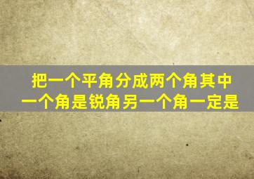 把一个平角分成两个角其中一个角是锐角另一个角一定是