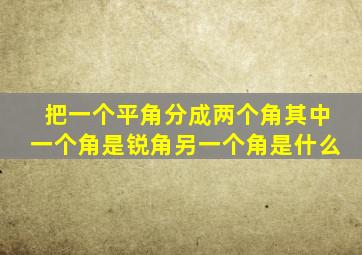 把一个平角分成两个角其中一个角是锐角另一个角是什么