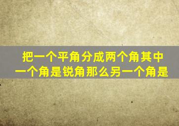 把一个平角分成两个角其中一个角是锐角那么另一个角是