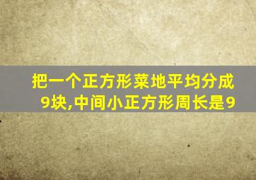 把一个正方形菜地平均分成9块,中间小正方形周长是9