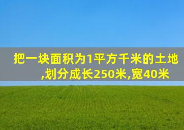 把一块面积为1平方千米的土地,划分成长250米,宽40米