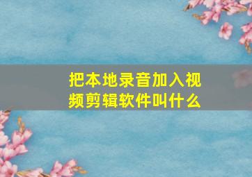 把本地录音加入视频剪辑软件叫什么