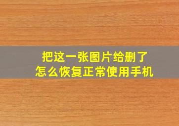 把这一张图片给删了怎么恢复正常使用手机