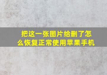 把这一张图片给删了怎么恢复正常使用苹果手机