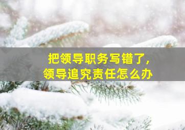 把领导职务写错了,领导追究责任怎么办