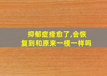 抑郁症痊愈了,会恢复到和原来一模一样吗