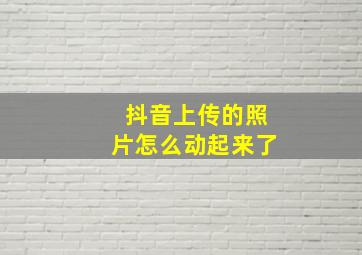 抖音上传的照片怎么动起来了