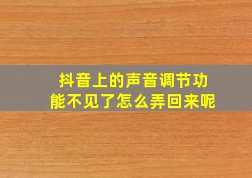 抖音上的声音调节功能不见了怎么弄回来呢