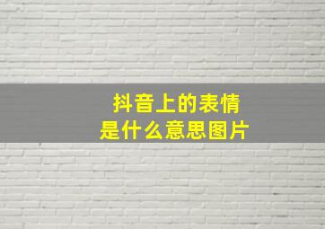 抖音上的表情是什么意思图片