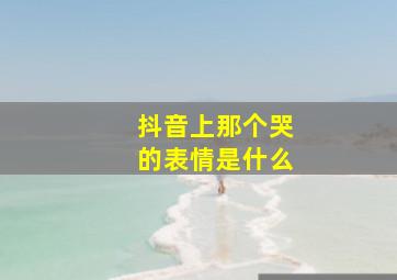 抖音上那个哭的表情是什么