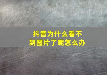 抖音为什么看不到图片了呢怎么办