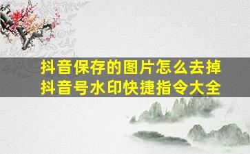 抖音保存的图片怎么去掉抖音号水印快捷指令大全