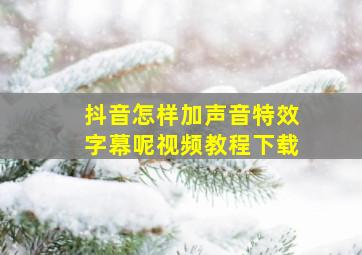 抖音怎样加声音特效字幕呢视频教程下载