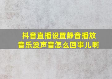 抖音直播设置静音播放音乐没声音怎么回事儿啊