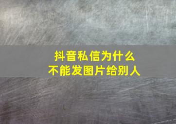 抖音私信为什么不能发图片给别人