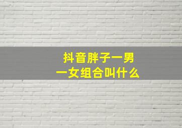 抖音胖子一男一女组合叫什么