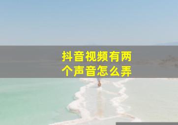 抖音视频有两个声音怎么弄