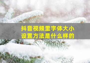 抖音视频里字体大小设置方法是什么样的