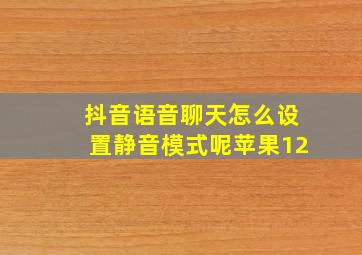 抖音语音聊天怎么设置静音模式呢苹果12