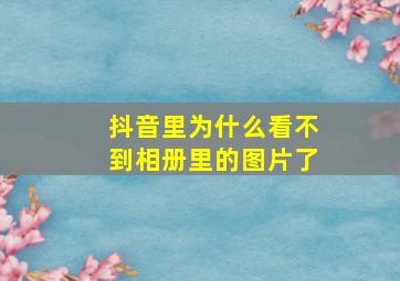 抖音里为什么看不到相册里的图片了