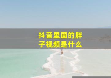 抖音里面的胖子视频是什么