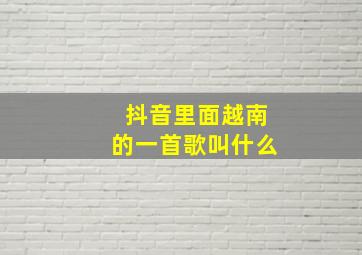 抖音里面越南的一首歌叫什么