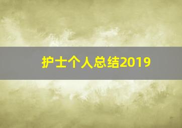 护士个人总结2019