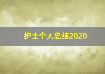 护士个人总结2020