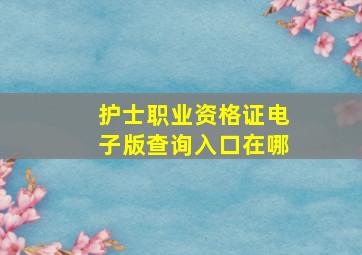 护士职业资格证电子版查询入口在哪