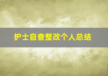 护士自查整改个人总结