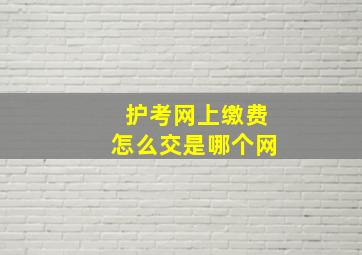 护考网上缴费怎么交是哪个网