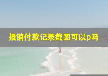 报销付款记录截图可以p吗