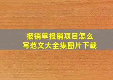 报销单报销项目怎么写范文大全集图片下载