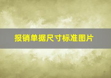 报销单据尺寸标准图片