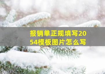 报销单正规填写2054模板图片怎么写