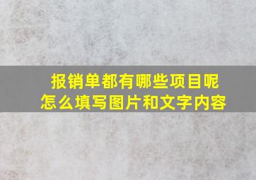 报销单都有哪些项目呢怎么填写图片和文字内容