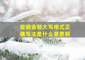 报销金额大写格式正确写法是什么意思啊