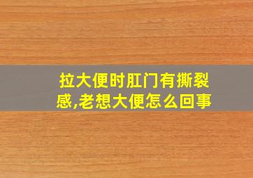 拉大便时肛门有撕裂感,老想大便怎么回事