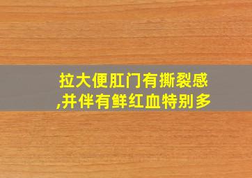 拉大便肛门有撕裂感,并伴有鲜红血特别多