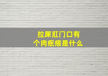 拉屎肛门口有个肉疙瘩是什么