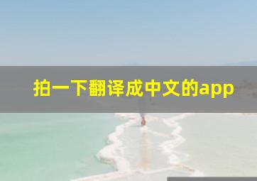 拍一下翻译成中文的app