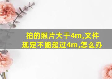 拍的照片大于4m,文件规定不能超过4m,怎么办