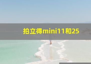 拍立得mini11和25