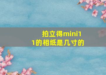 拍立得mini11的相纸是几寸的