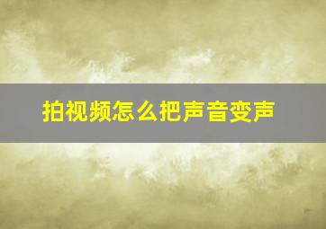 拍视频怎么把声音变声