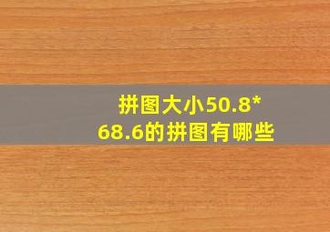 拼图大小50.8*68.6的拼图有哪些