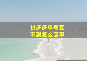 拼多多单号查不到怎么回事